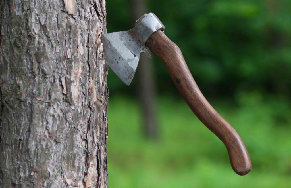 Axe in a tree on a green background