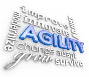 agile, agility, change management, careers, career change, Jane Jackson