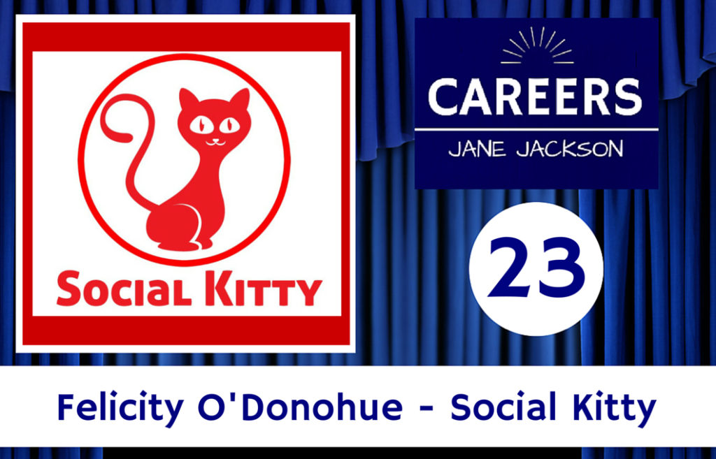 Social kitty, social media marketing, social media